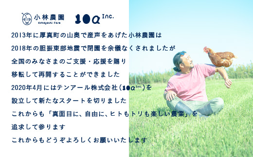 1年間定期便！無投薬・自然養鶏・平飼い卵２５個×1年間　