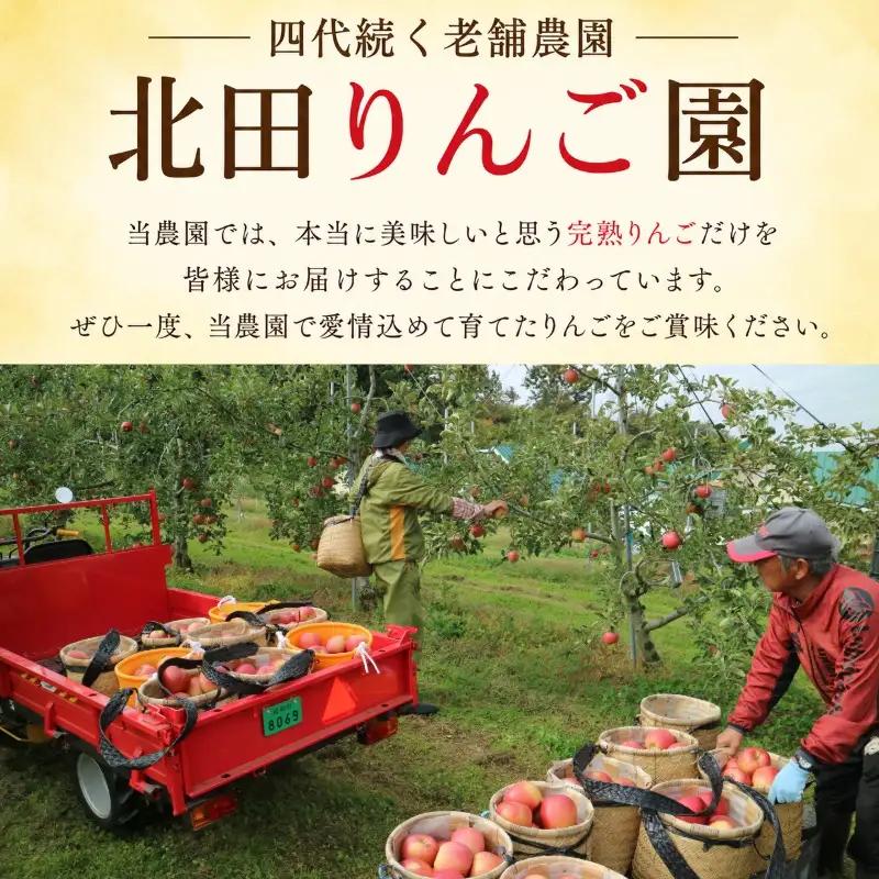 【1月発送】完熟サンふじ りんご 3kg (8～12玉)  北田りんご園 kitada017りんご