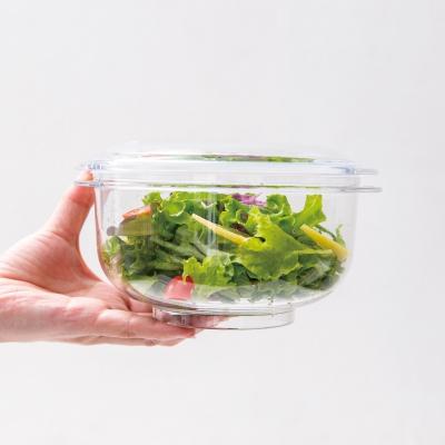 ふるさと納税 加西市 期間限定寄附額 [ 真空 サラダボウル 1個 ] 真空ポンプ 付き [No5698-2293] |  | 03