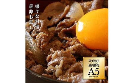 A5ランク黒毛和牛切り落とし400g【配送不可：離島】お試し 小分けパック 大容量 真空冷凍 和牛 牛肉 肉 焼肉 すき焼き 国産牛 切り落し 牛丼 肉じゃが 煮込み 煮物 小分け 霜降り 手軽 数量