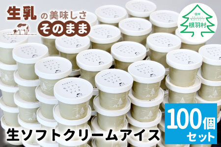 イベントやパーティにも◎生ソフトクリームアイス100個 80ml アイスクリーム ソフトクリーム スイーツ アイス デザート