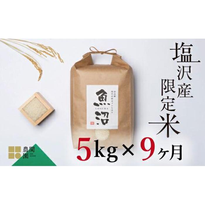 【ふるさと納税】【令和7年産新米予約】米 定期便 45kg ( 5kg × 9ヶ月 ) お米 旧塩沢地区限定 こしひかり 新潟 南魚沼 魚沼産 南魚沼産 白米【2025年9月中旬より順次発送予定】 | お米 こめ 白米 コシヒカリ 食品 人気 おすすめ 送料無料 魚沼 南魚沼