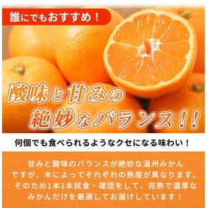 【2024年11月下旬より発送】赤秀品　紀州有田産濃厚完熟温州みかん　3kg(MorS)【日高町】【1217244】