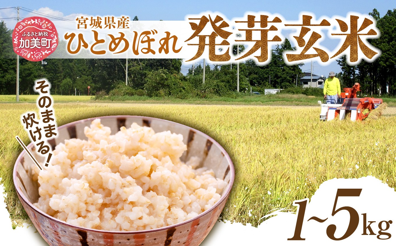 
            簡単に炊ける 宮城県産 ひとめぼれ 発芽玄米 1〜5kg [菅原商店 宮城県 加美町] 米 こめ コメ 玄米 発芽玄米 ご飯
          