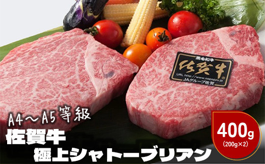 
            佐賀牛シャトーブリアン400g (ステーキカット200g×2枚)
          