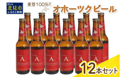 
《14営業日以内に発送》オホーツクビール エール 12本セット ( 飲料 お酒 ビール 瓶ビール ギフト お中元 お歳暮 お祝い プレゼント のし )【028-0032】
