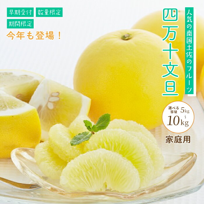 【ふるさと納税】【選べる 容量】 四万十 文旦 家庭用 5kg 10kg 早期受付 期間限定 数量限定 人気 ぶんたん 土佐文旦 ブンタン 冬 旬 限定 国産 フルーツ 果物 柑橘 高知 四万十 しまんと お取り寄せ 産地直送 送料無料 【配送時期：2026年2月下旬～3月上旬】