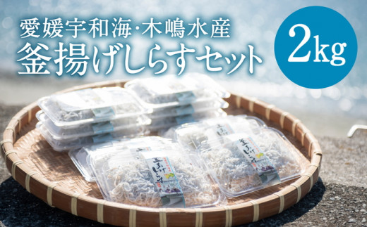 
【愛媛県・佐田岬直送】木嶋水産の釜揚げしらす（250g×8パック）
※着日指定不可
※離島への配送不可
