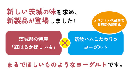 筑波ハム 『 まるでほしいも 』合計6個 ほしいもクン特製 化粧箱入り （100g×3個入り ×2箱） ( 茨城県共通返礼品 ) ヨーグルト 干し芋 干しいも ほし芋 紅はるか デザート お土産 手土