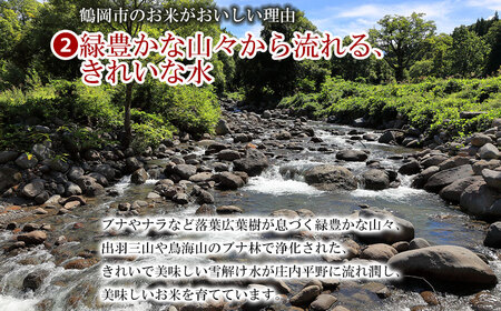 令和5年産 特別栽培米 山形県 庄内産 つや姫精米 5kg×2袋 計10kg 米食味鑑定士お薦め