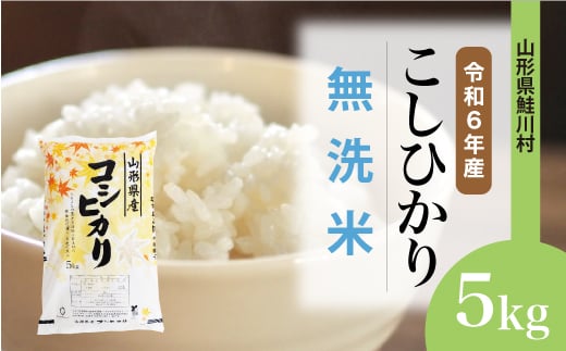 
            ＜令和6年産米＞ 鮭川村 コシヒカリ 【無洗米】5kg（5kg×1袋）＜配送時期選べます＞
          