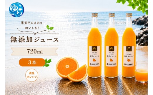 清見 オレンジ 100% ジュース / 清見オレンジ ストレート 果汁 無添加 柑橘 和歌山 12000円 720ml ※北海道・沖縄・離島への配送不可 //drink 【ikd100-kiy720-3】