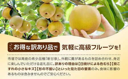 1255.【2026年度発送先行予約】訳あり　新甘泉　3kg