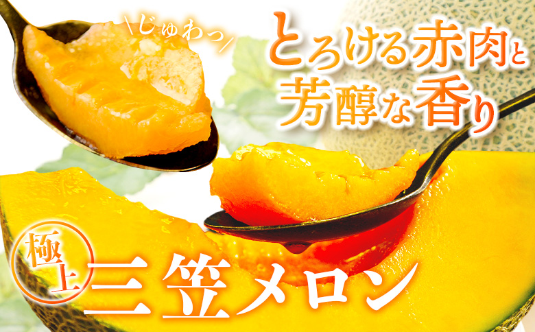 《2026年分受付中》とろける食感と甘い香り北海道三笠メロン2玉入（2.6kg以上）【0100103】