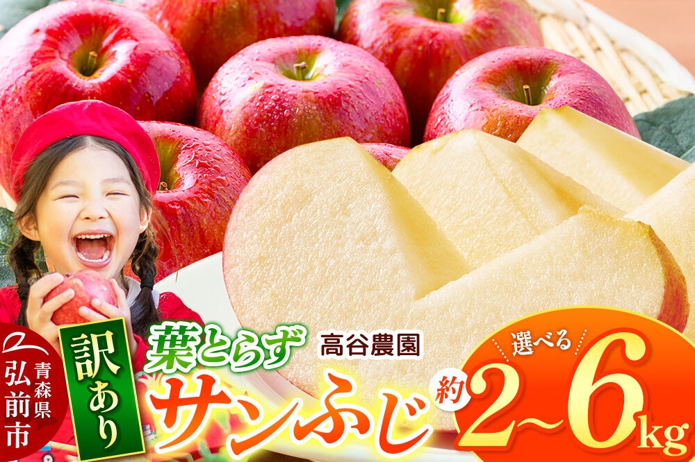 
                  りんご【26年11月～発送】葉とらず サンふじ【訳あり】高谷農園【選べる約 2kg／6kg】先行受付 家庭用 青森県 弘前市 果物 フルーツ 林檎 リンゴ くだもの 不揃い 規格外 [先行予約 産地直送 アップル おいしい 果実 美味 甘い 赤色] [u9]
                