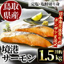 【ふるさと納税】＜数量限定＞鳥取県産活〆「境港サーモン」(定塩・塩鮭切り身)(1/4カット真空パック×4・合計約1.5kg)鮭 国産 地魚 魚介 海鮮ギンザケ 脂 塩 切り身 冷凍 【sm-AB001】【弓ヶ浜水産】