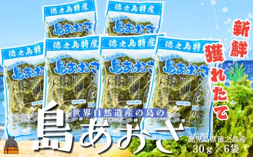 870【2026年とれたて！】徳之島産 島あおさ（30g×6袋）( アオサ あおさ のり 海苔 乾物 徳之島 奄美 鹿児島 お味噌汁 料理 てんぷら 卵焼き 美味しい 新鮮 )