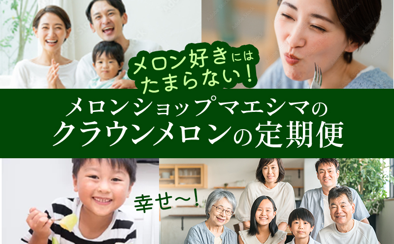 【3ヶ月定期便】クラウンメロン 白等級 1.1kg前後 1玉入り