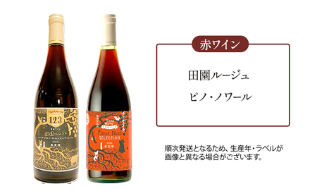【野生酵母】かみふらの 多田ワイナリー 赤白ワイン 計4本　ワイン 赤ワイン 白ワイン 飲み比べ セット ぶどう 葡萄 ワイナリー 酒 北海道 上富良野町