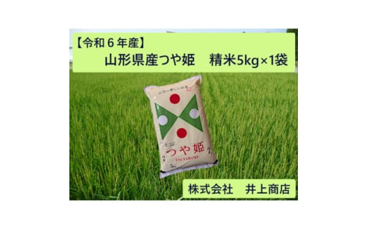 令和6年産山形県産　つや姫　精米5kg×1袋【1614324】