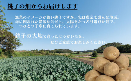 先行予約 じゃがいも 約5kg ニシユタカ 【12月初旬~4月中旬頃発送予定】