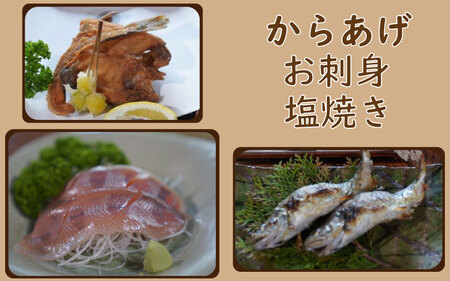 あまご満足膳 御料理コースA 1名様 〈丹波市〉 あまご 川魚料理
