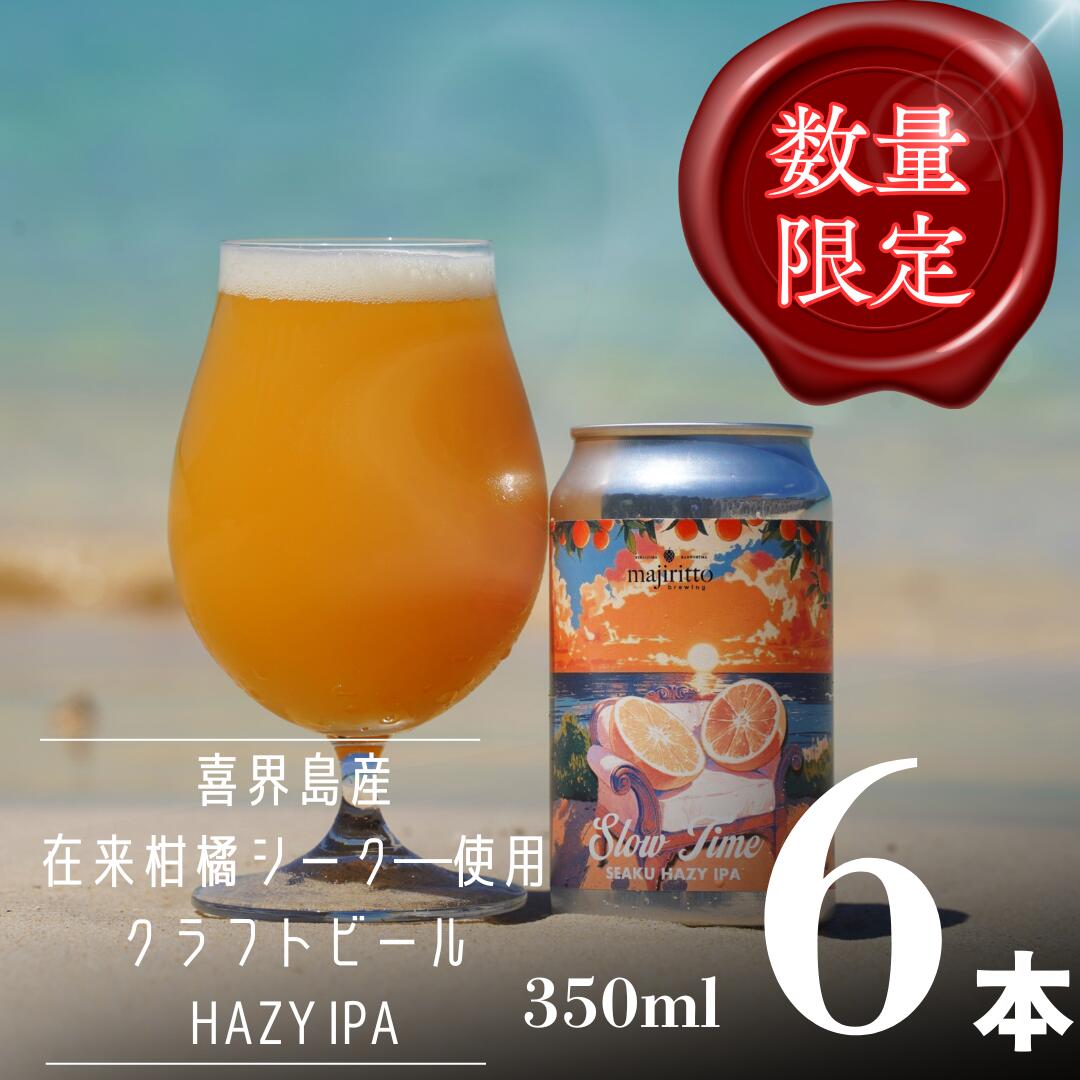 【ふるさと納税】クラフトビールSlow Time 6本　5.5%　350ml