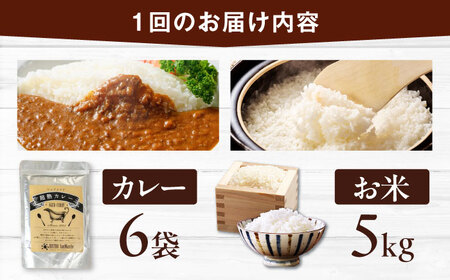 【全6回定期便】お米とシェフのカレーセット 米5kg・カレー6袋　愛媛県大洲市/有限会社ヒロファミリーフーズ カレー レストランのカレー ご当地グルメ[AGBX061]