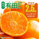 【ふるさと納税】ご家庭用 有田みかん 和歌山県産 S～Lサイズ 大きさお任せ 選べる 容量 2kg～5kg 【訳あり】 ※10月上旬～翌年1月下旬に順次発送予定 / ミカン 蜜柑 柑橘 温州みかん 和歌山 有田 //mandarin