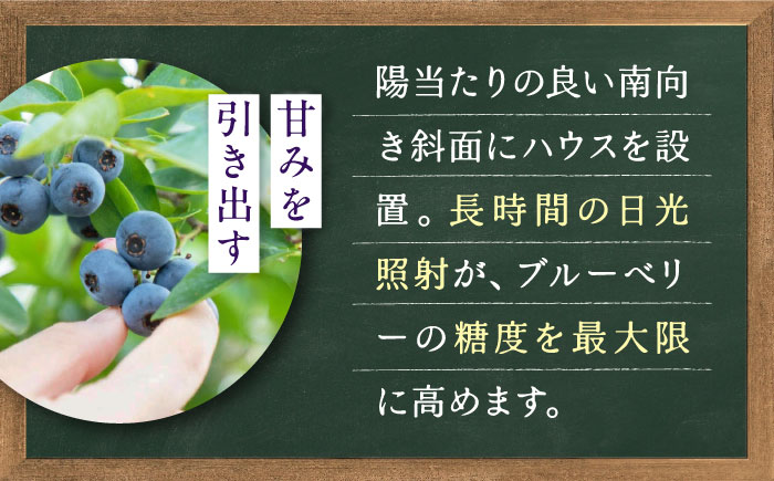 手摘み ブルーベリー 詰め合わせ 450g×4パック ＜2026年7月下旬より発送＞ ／ ブルーベリー 果物 フルーツ ベリー 国産 産地直送 農家直送 四国 愛媛県 内子町 【周年観光農園エコファー