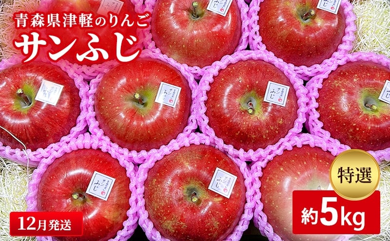 
            【12月発送】【里いちみfarm】青森県津軽のりんご　特選「サンふじ」約5kg
          