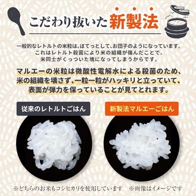 ふるさと納税 和泉市 【2ヵ月毎定期便】パックごはん 3個入り(1個200g)×12セット36食入コシヒカリ(特)　全2回 |  | 01