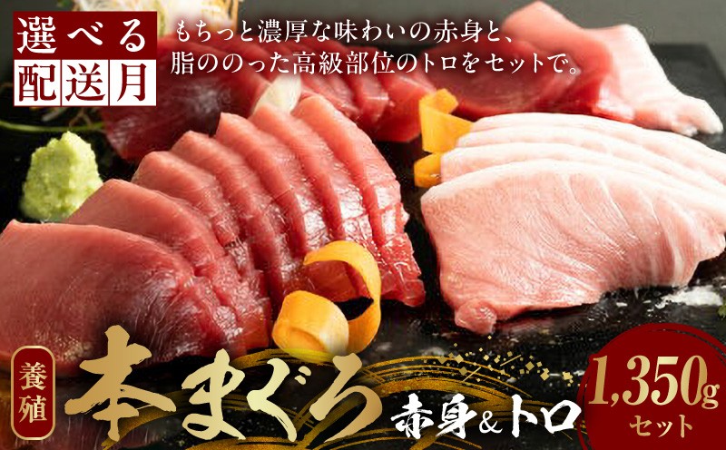 
                  本マグロ （養殖） 赤身 ＆ トロ セット 1350g _AZ6020-sku
                