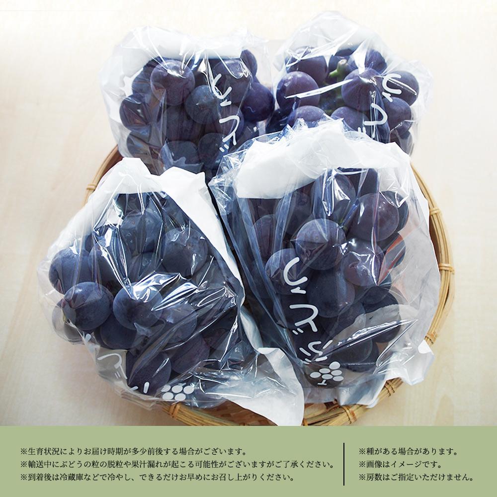 ピオーネ 約2kg　紀州和歌山 かつらぎ産［2026年8月下旬以降発送予定］［UT119］