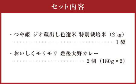 015-993 豊後大野市産 つや姫と豊後大野カレーセット