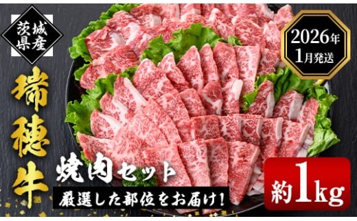＜2026年1月中に発送＞ 瑞穂牛焼肉セット 1.0Kg 牛肉 やきにく バラ 肩ロース 肩 肩バラ トモサンカク イチボ ブランド牛 冷凍配送 茨城県 お中元 焼肉の日 敬老の日 常陸牛 焼肉 盛り合わせ 食べ比べ 国産 肉 BBQ セット 【（株）フロンティアロード】【 ho0903-1-01】