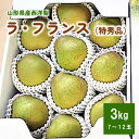 【ふるさと納税】西洋梨 （ラ・フランス） 3kg 特秀品 贈答用 化粧箱入り 果物 フルーツ 産地直送 山形 お取り寄せ 送料無料 山形県 上山市 0110-2409