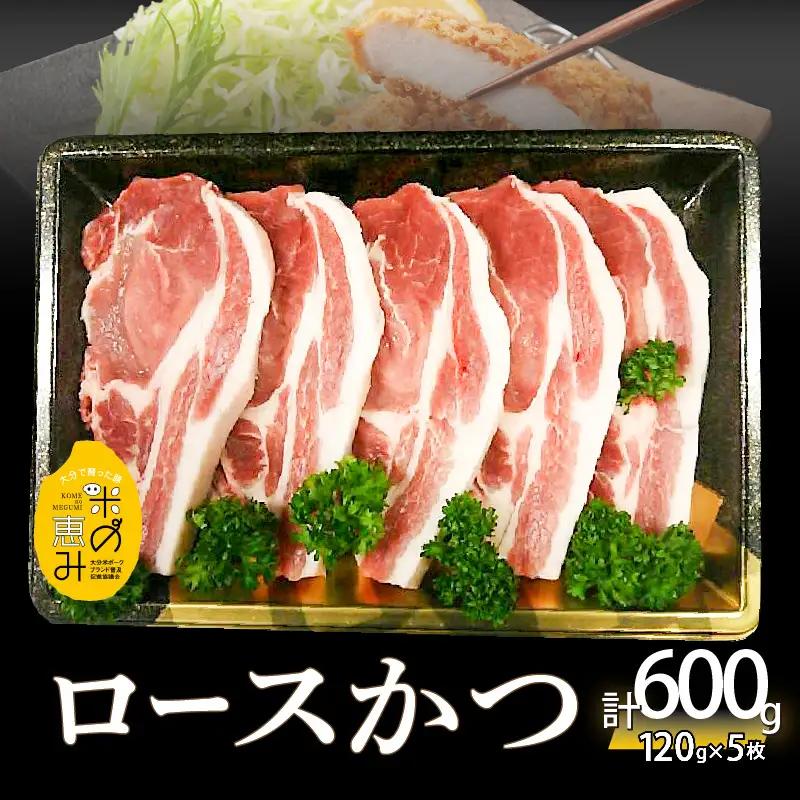 米の恵み　ロースかつ　約120g×5枚 A02011