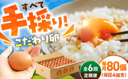 【6回定期便】あっぱれ卵80個 卵定期便 [UAQ004]