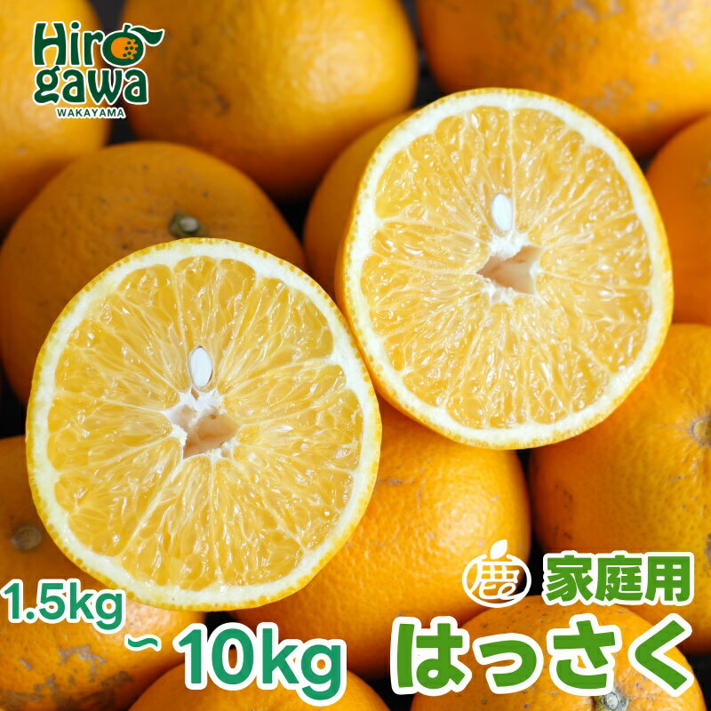 【ふるさと納税】 家庭用 はっさく 【 八朔 】 【 わけあり 訳あり 】 5000円 10000円 ※1月上旬〜4月下旬頃に順次発送予定 ※北海道・沖縄・離島への配送不可 // hassaku