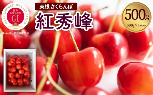 【2027年産 先行受付】 GI 東根さくらんぼ 紅秀峰 500g 山形県 東根市 滝口観光果樹園提供 hi030-052-r9 果物 くだもの フルーツ さくらんぼ サクランボ チェリー 先行受付 期間限定 冷蔵配送 取り寄せ グルメ ご当地 特産直送