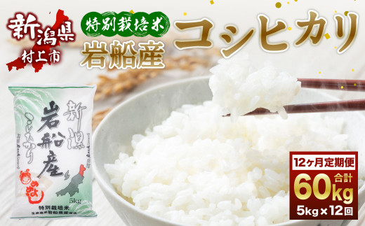 【令和7年産米】特別栽培米 新潟県岩船産 コシヒカリ 60kg（5kg×12ヶ月コース） 定期便  毎月 お米  白米 こしひかり 精米 村上市 1013009
