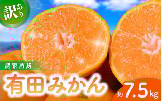 【訳あり】農家直送  有田みかん 約7.5kg ご家庭用 サイズ混合 （お届け日指定不可）【先行予約】※2025年11月中旬より順次発送予定　※北海道・沖縄・離島への配送不可　訳ありみかん サイズ混合 温州みかん 有機質肥料100% ふるさと納税 柑橘 有田 産地直送 みかん くだもの フルーツ 果物  ミカン【nuk157C】