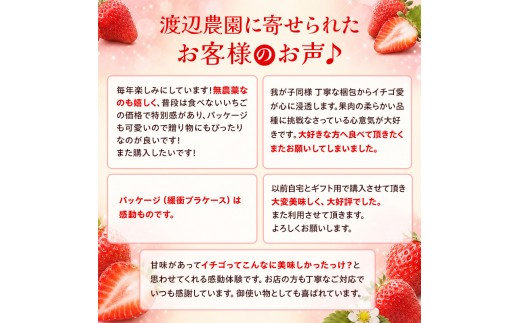 【先行予約｜2027年4月上旬より出荷開始】いちご 大粒 カラダよろこぶ 越後姫 約400g×2パック (9～15粒入り×2) 定植後化学農薬不使用 イチゴ 苺 渡辺農園 上越市 新潟県