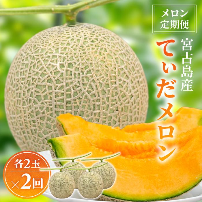 【ふるさと納税】【メロン定期便】宮古島産てぃだメロン 2玉《2025年冬・2026年春発送》＜8farm＞(JC002)