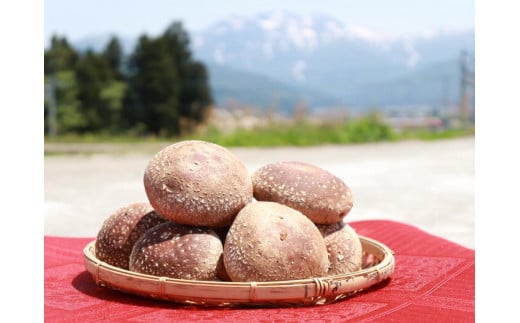 
八海山の雪解け水が豊富な地下水使用】　肉厚な生椎茸（菌床）　【原材料からすべて国産
