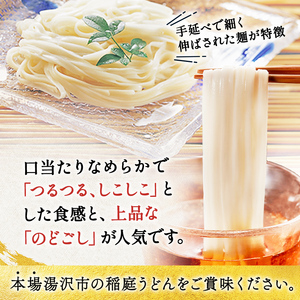 【ふるなびWEEK対象】稲庭うどん 家庭用MYS05×10個セット 約2人前×10個【(有)佐藤養助商店】[B56-0101-FN]