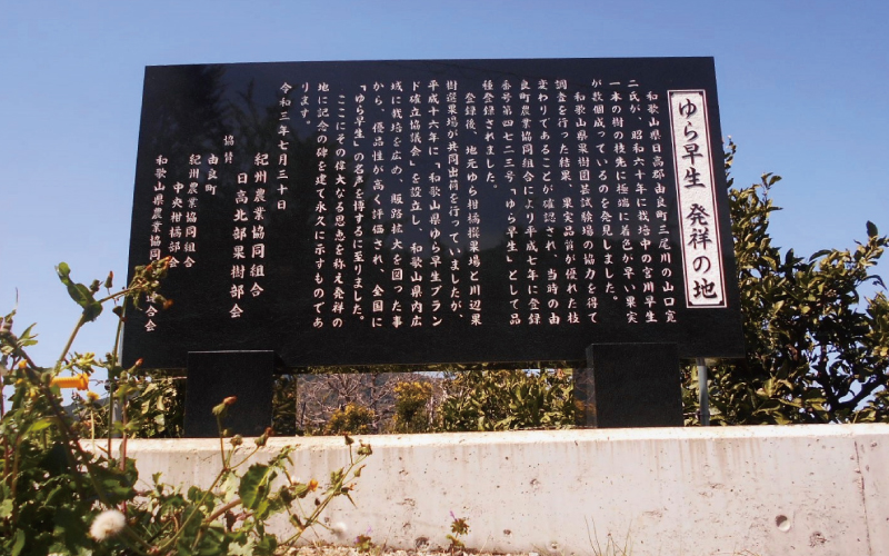 ≪秀品≫和歌山由良町産 由良早生みかん 約5kg サイズおまかせ【sml106C】