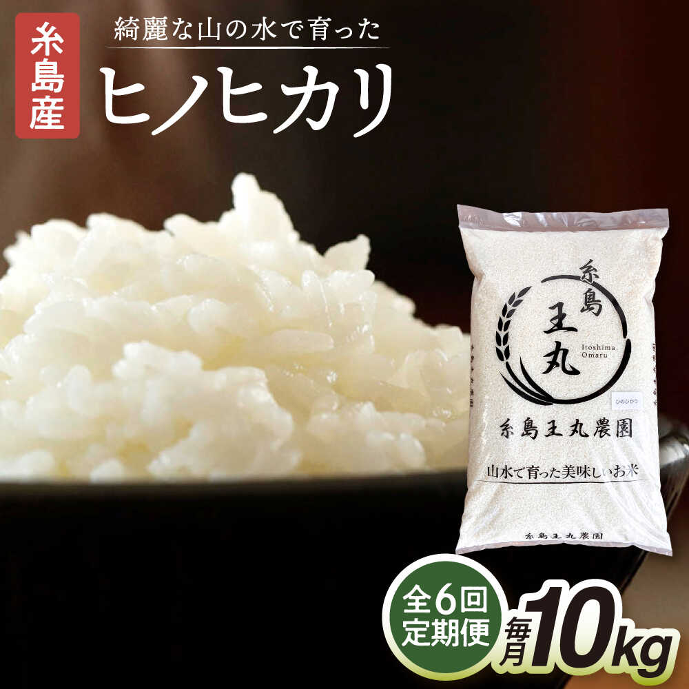 【ふるさと納税】【全6回定期便】糸島産 ヒノヒカリ 10kg × 6回 糸島市 / 糸島王丸農園 ( 谷口汰一 )【いとしまごころ】 [AAZ016]　常温 10万円170000円