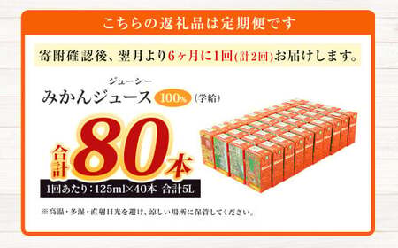 【6ヶ月毎2回定期便】 ジューシー みかんジュース 100％ （学給） 125ml×40本 みかん ミカン 蜜柑 ジュース オレンジジュース 飲料 紙パック 国産 熊本県